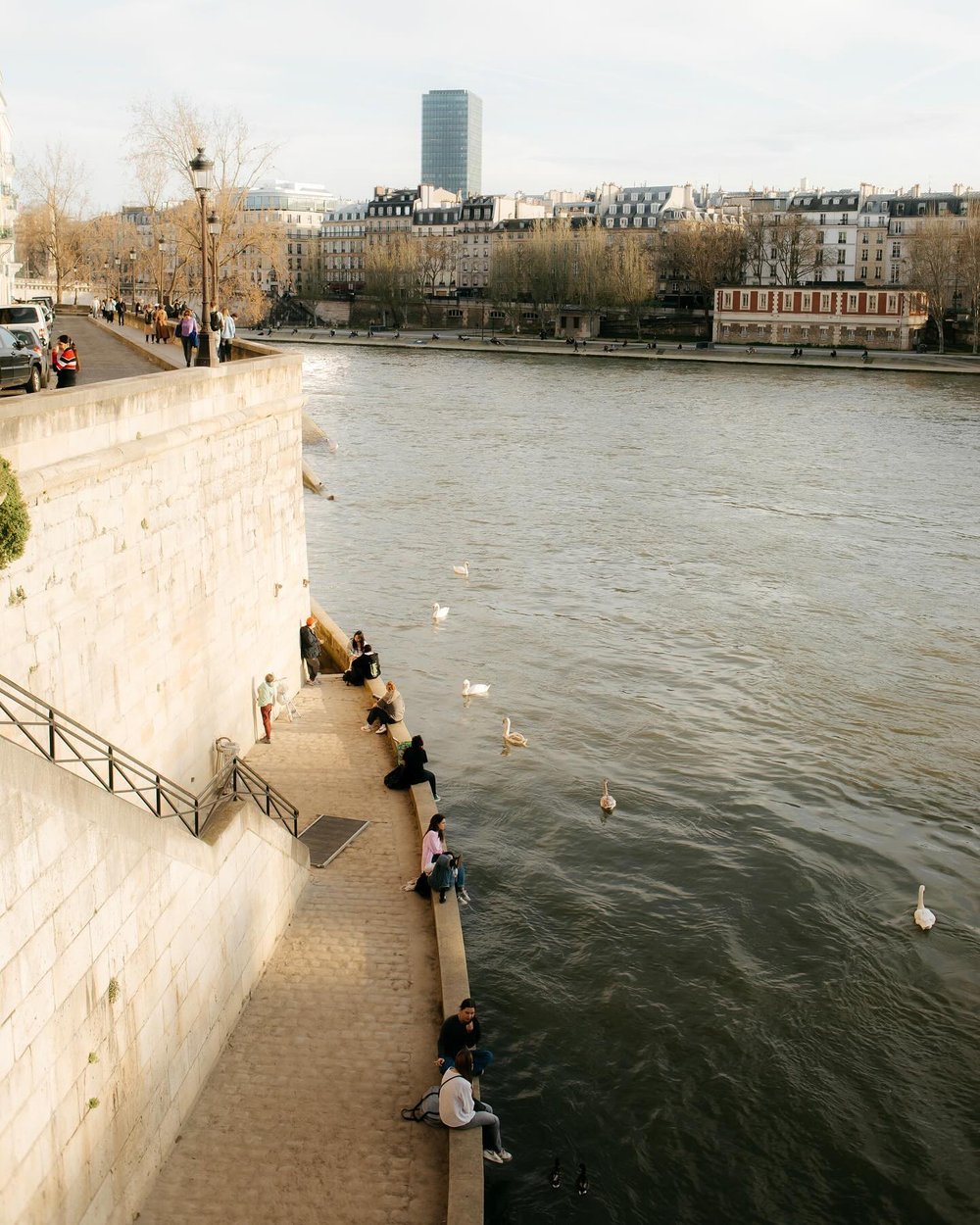 On the Seine

#seineriver #ilesaintlouis #springinparis