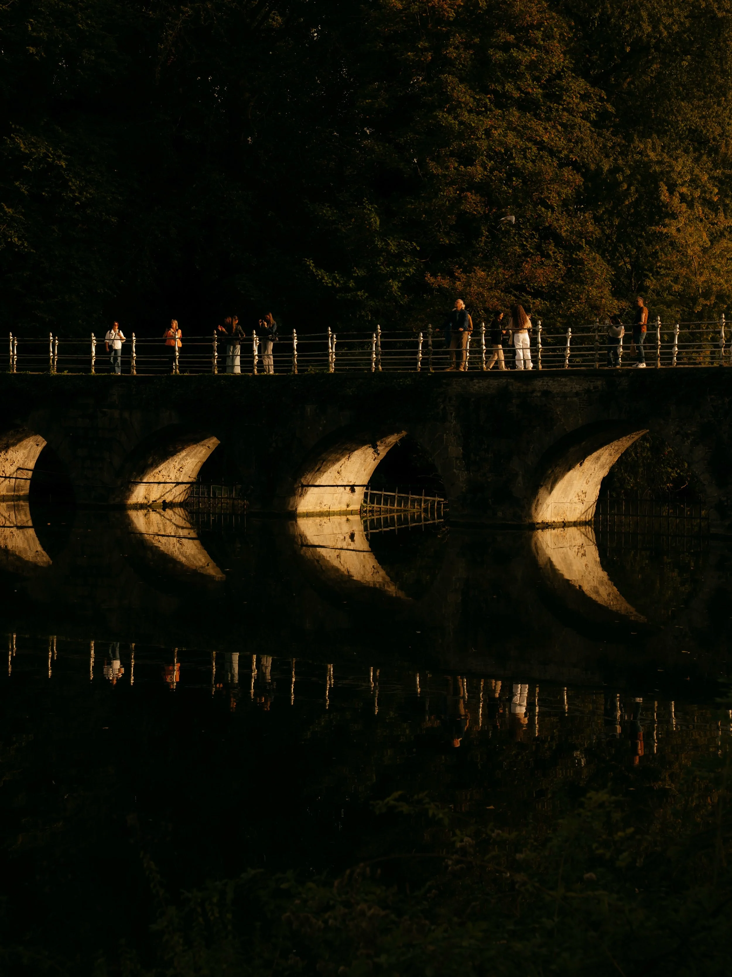 An October day in Bruges - 2026

#bruges #brugesbelgium #belgium #visitbruges