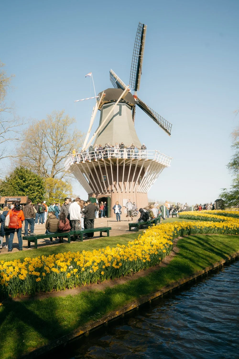 Windmill at Keukenhof Gardens