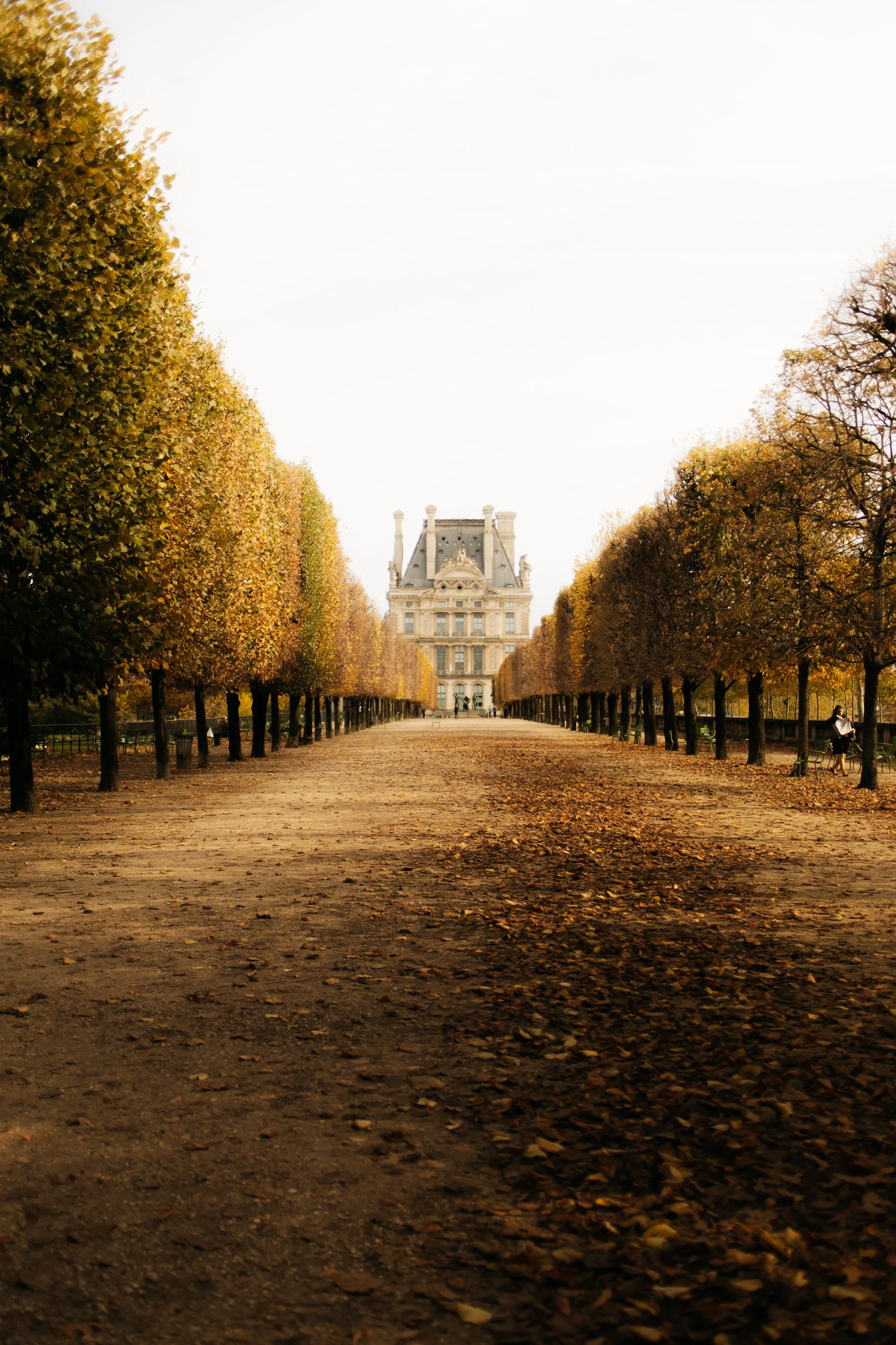 Fall in Tuileries Gardens Paris