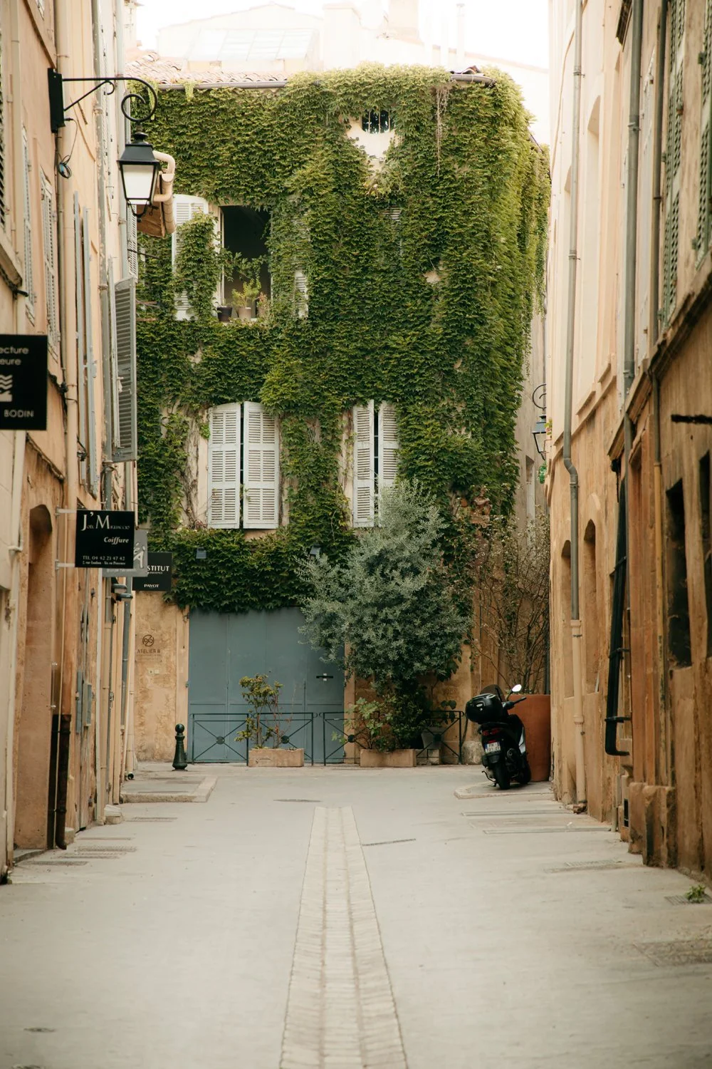 Ivy Covered Building in Aix-en-Provence France