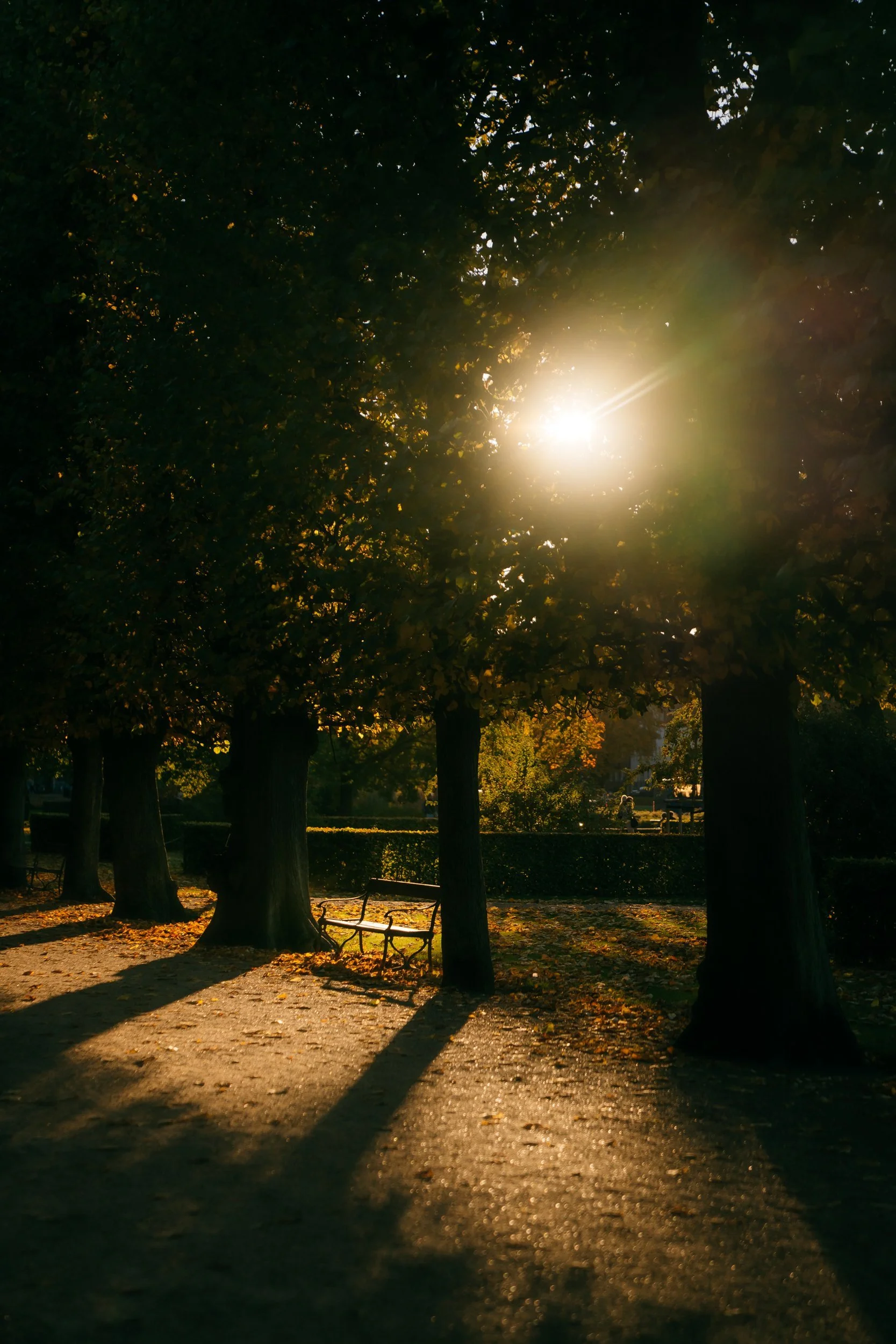 King's Gardens Copenhagen October