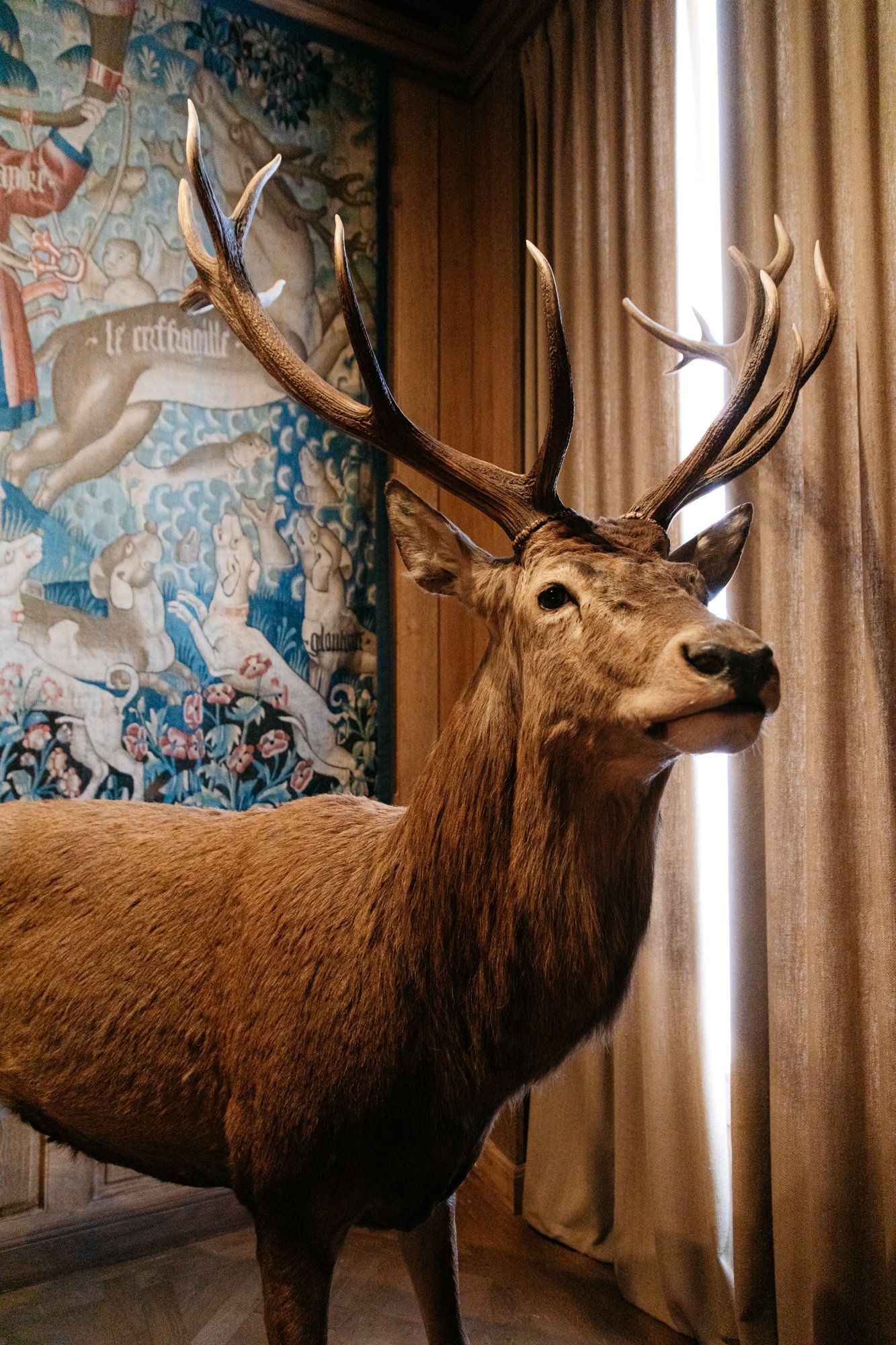Musée de la Chasse et de la Nature