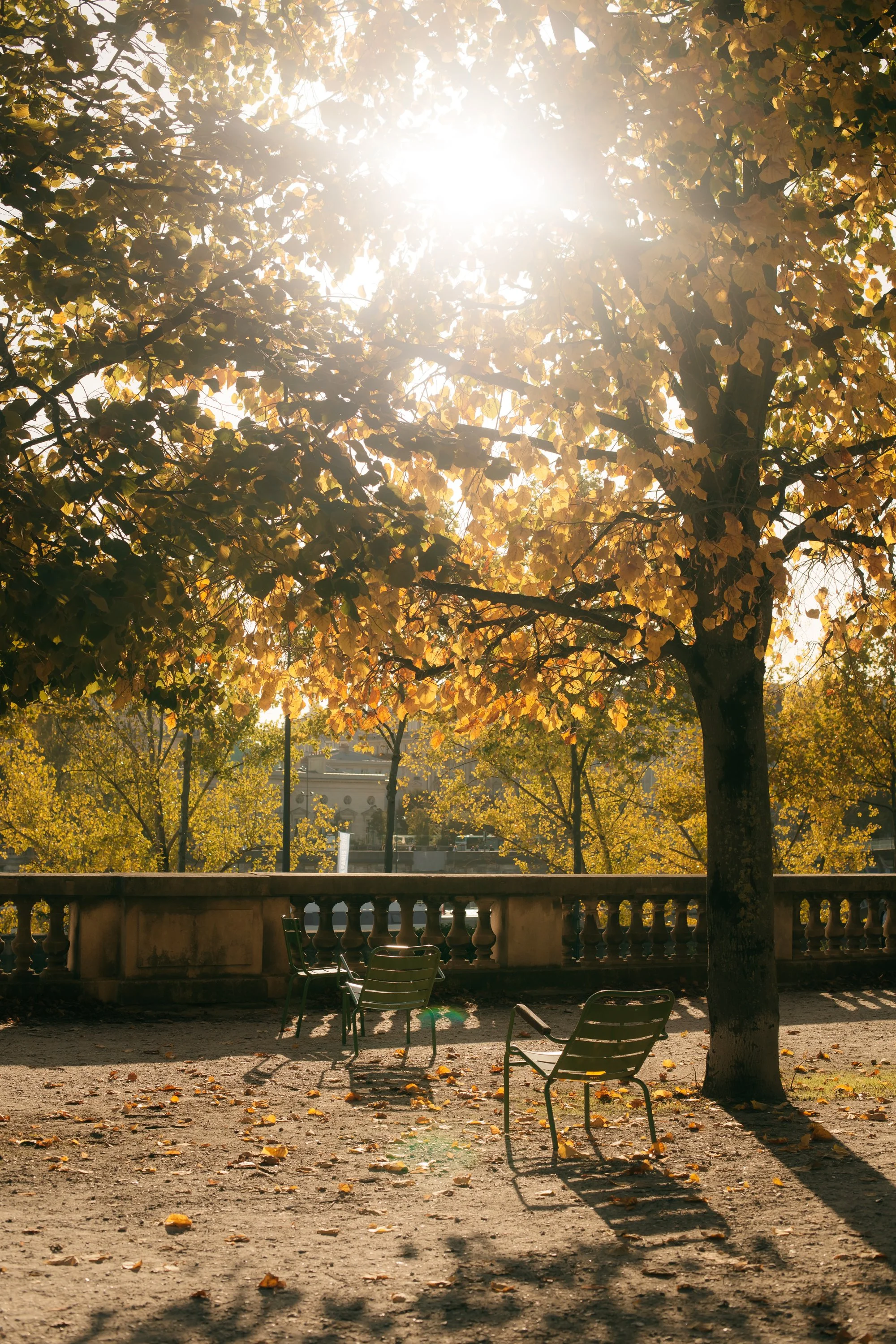 An Autumn Guide to Paris in October