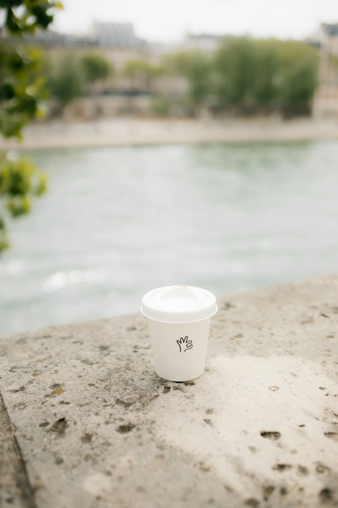 Minicafe Paris: Best Paris Coffee Shops by Arrondissement
