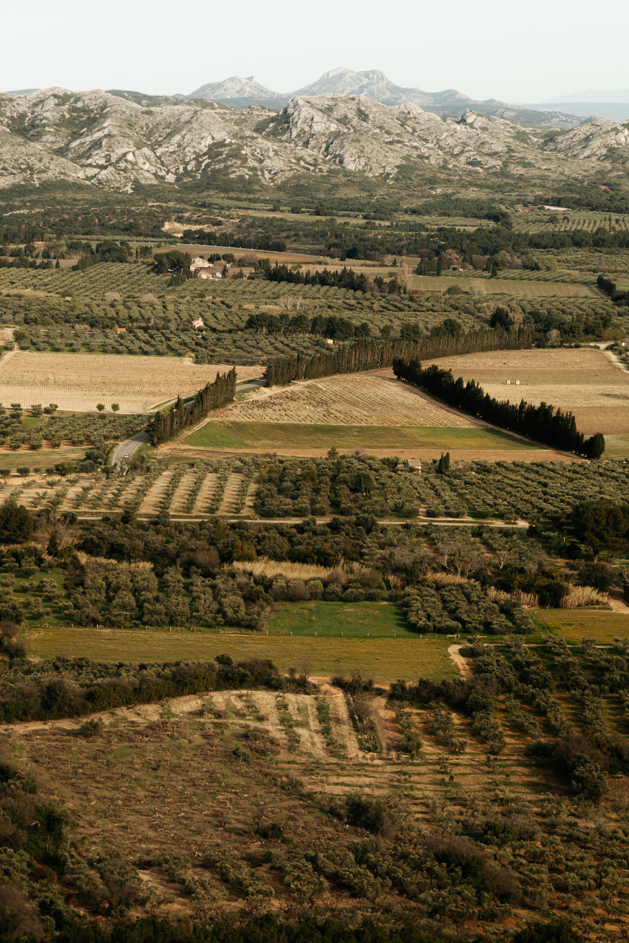 Visiting Lex Baux de Provence from Arles