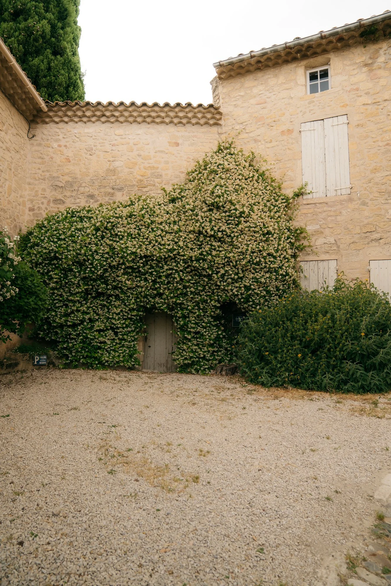 Jasmine covered provencal stone building Ansouis France