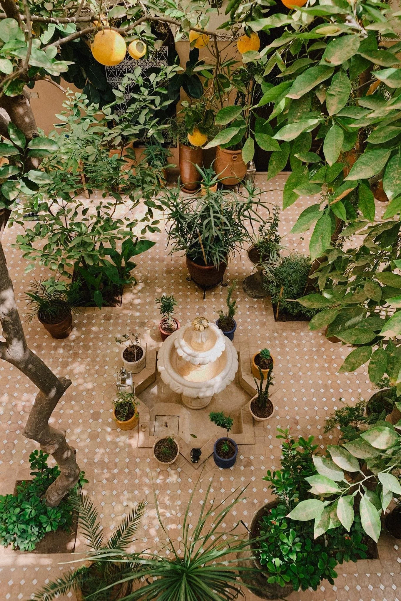 Best Riads Marrakech: Riad Maison 24