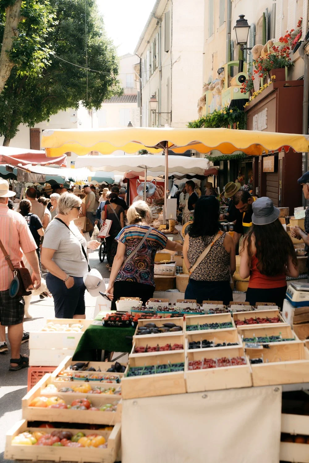 Saint-Remy-de-Provence Market