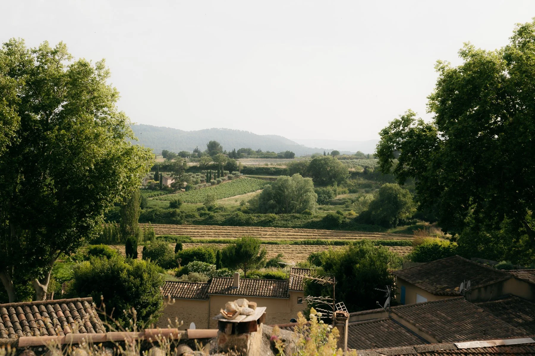 Provencal Views Cucuron Provence France