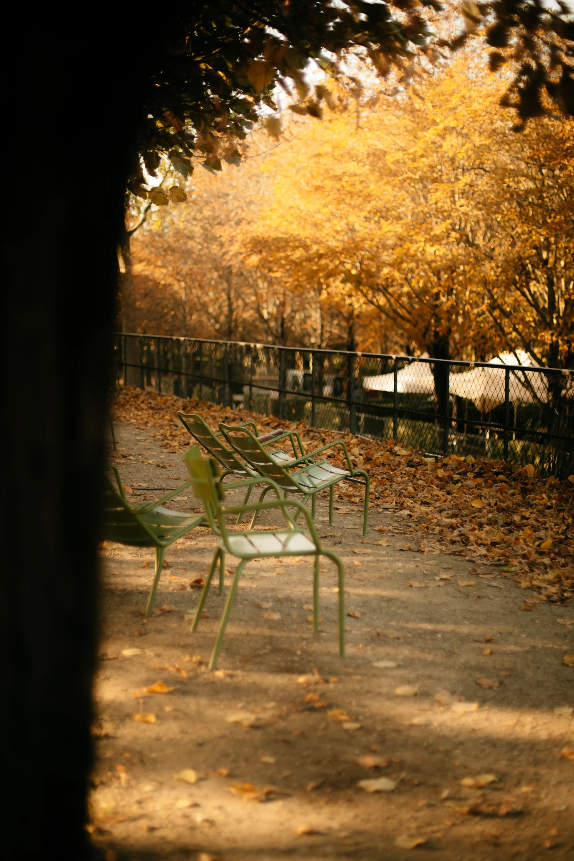 Where to See Fall Foliage in Paris in October: Tuileries Gardens