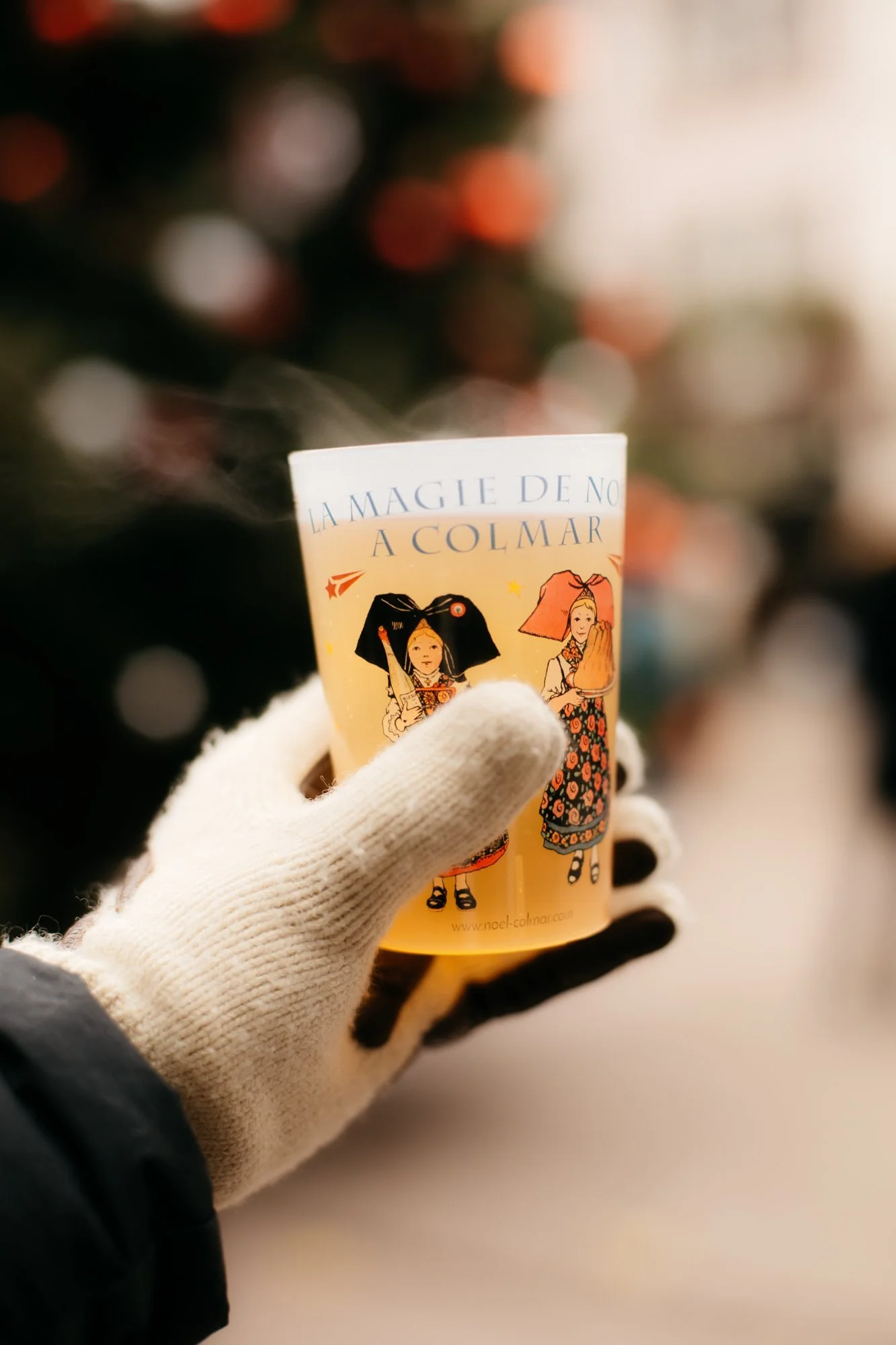 Europe Christmas Market Road Trip: Colmar, France