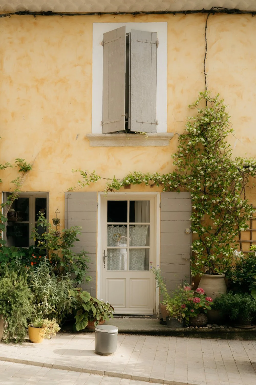 Provencal Door with Jasmine in Cucuron Village