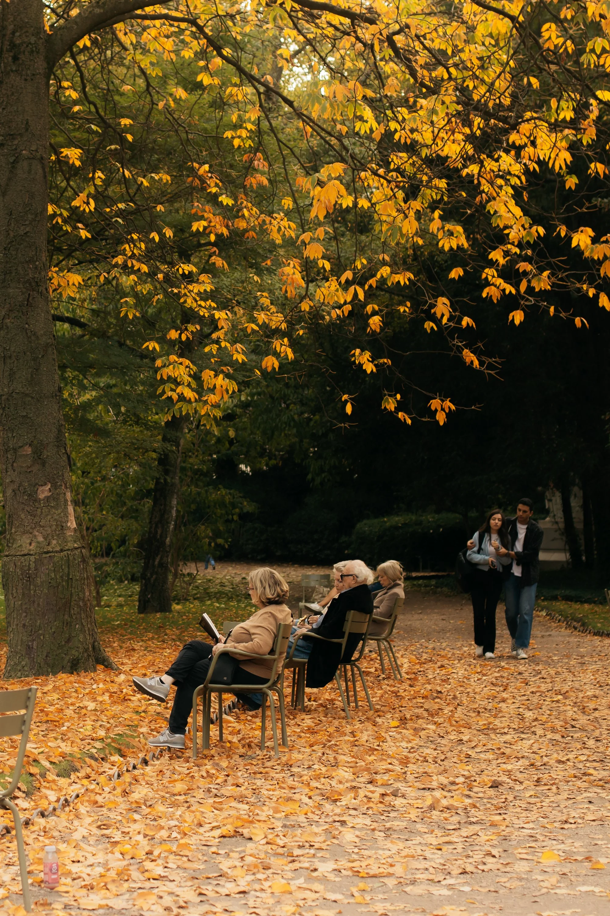 October in Paris: A Fall Travel Guide