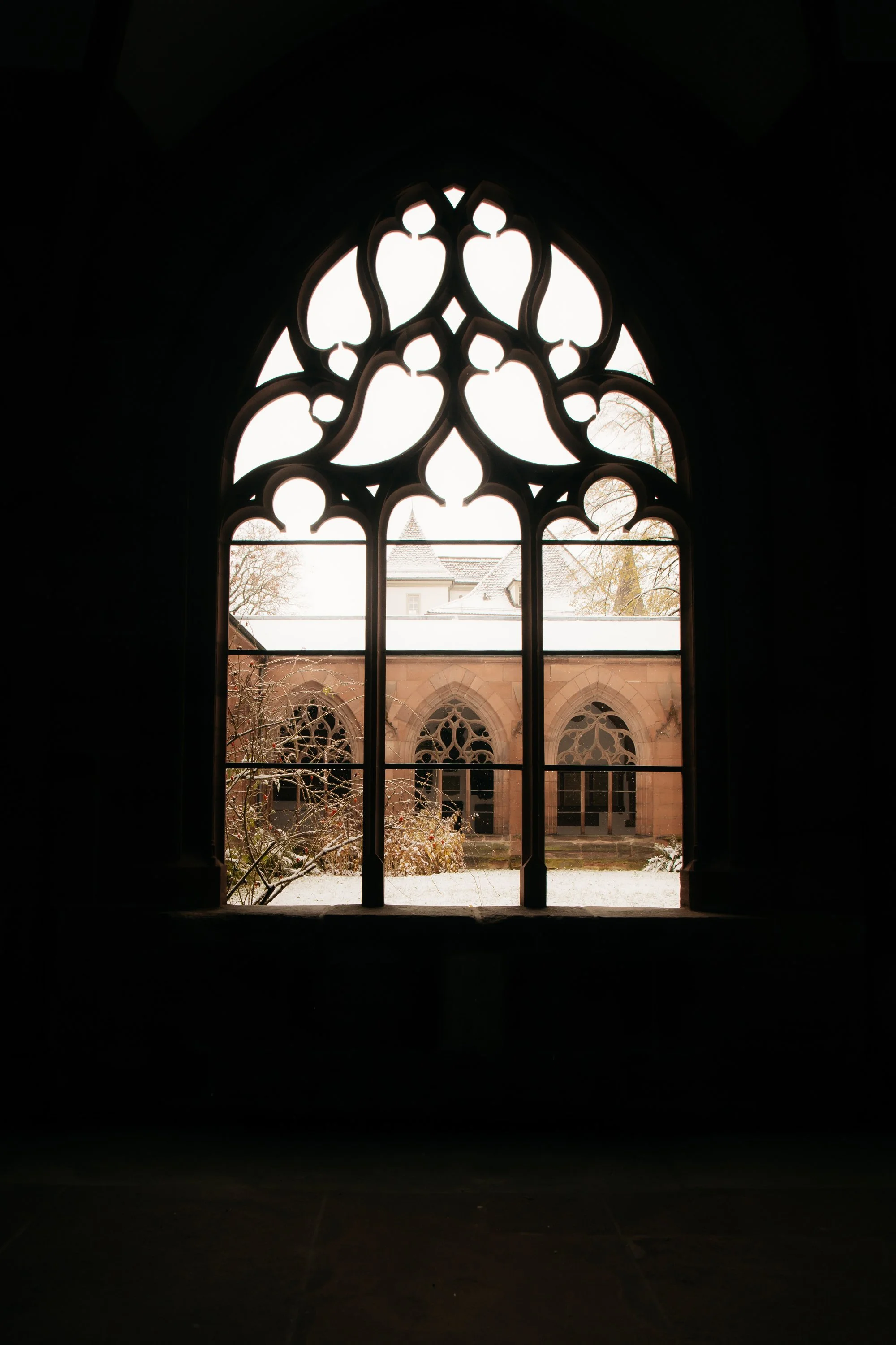 Basler Münster in December
