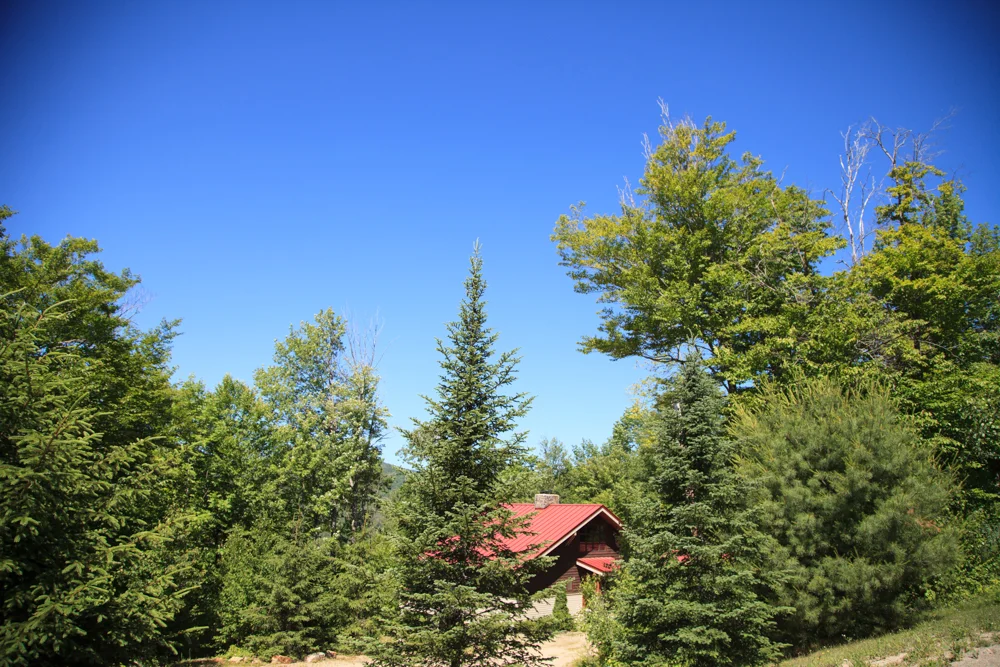 website-238.jpg