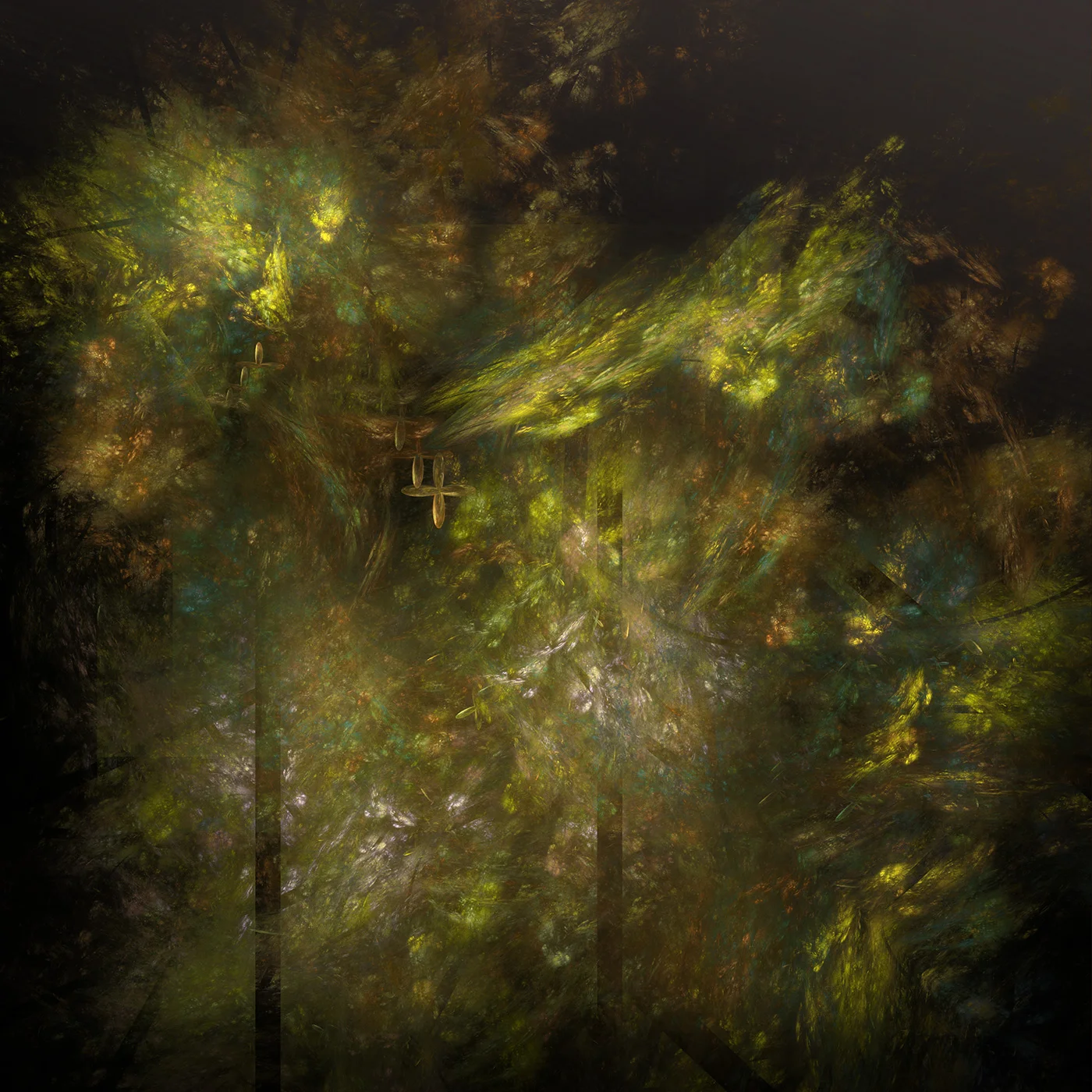 Kilkenny Forest