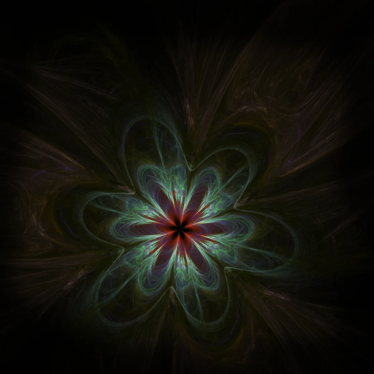 Floris Illuminus