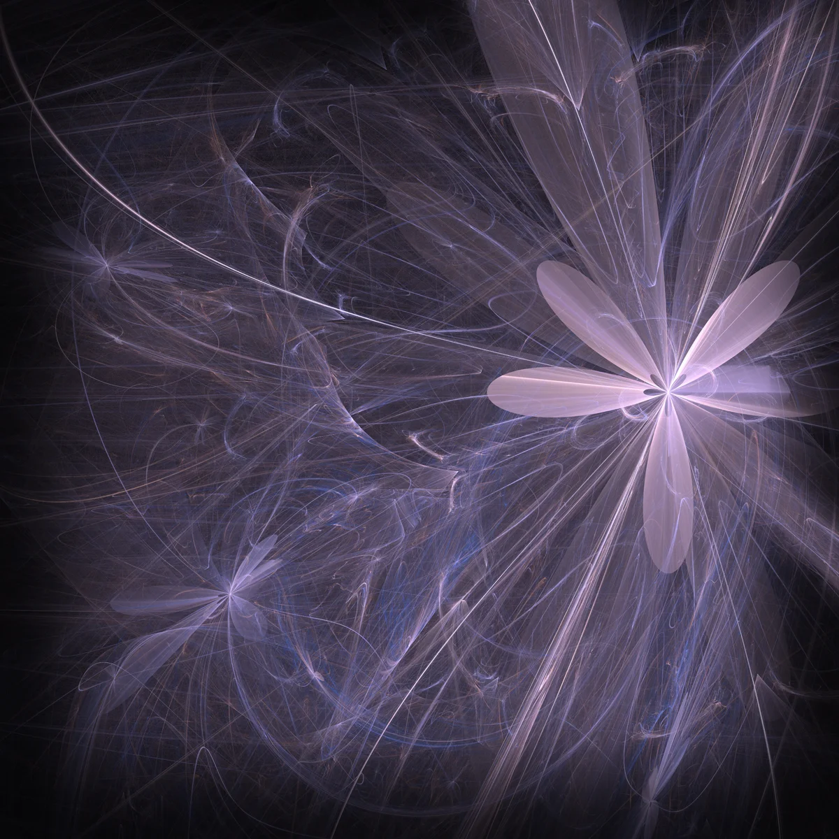 Wisp