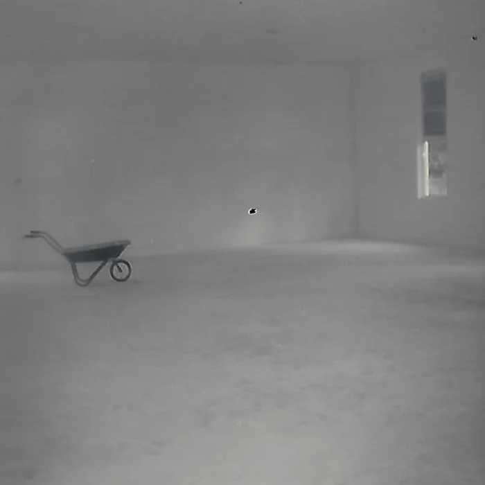 43.jpg