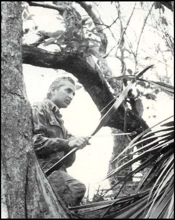 bs alone in tree.jpg