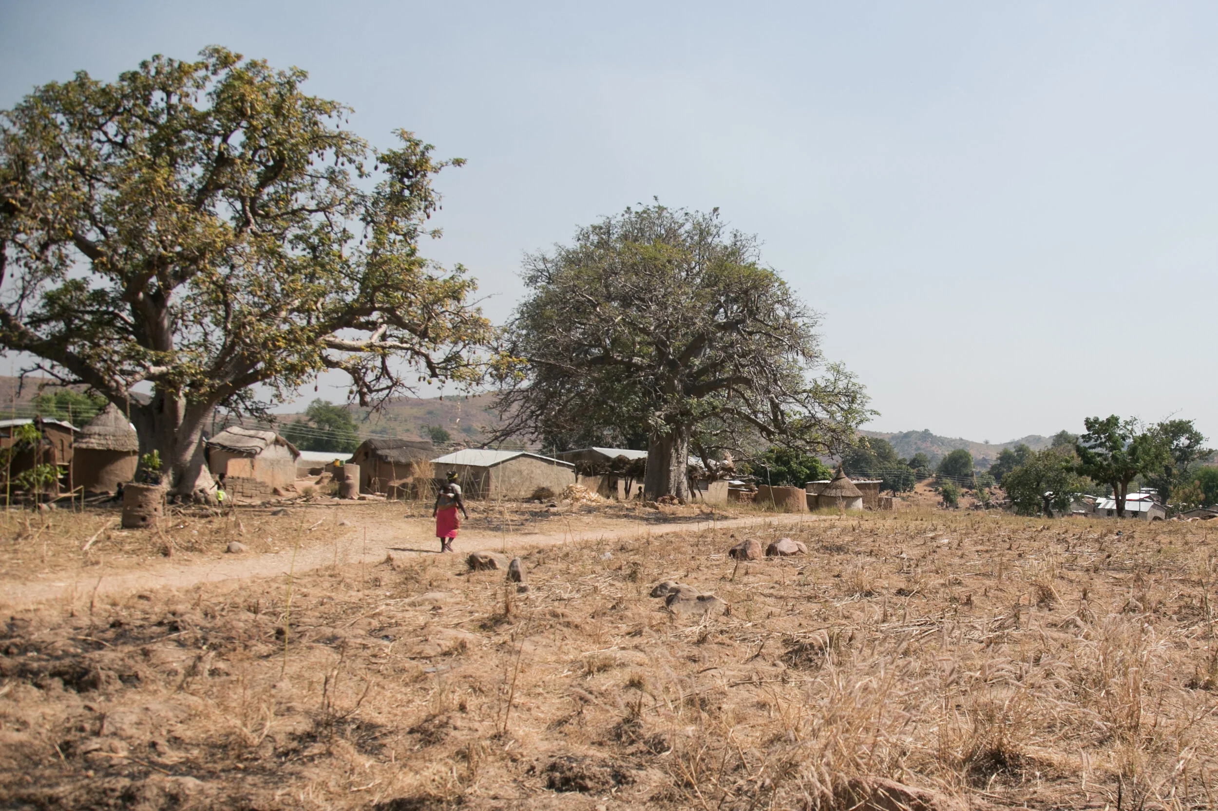 Woman by two baobabs.jpg