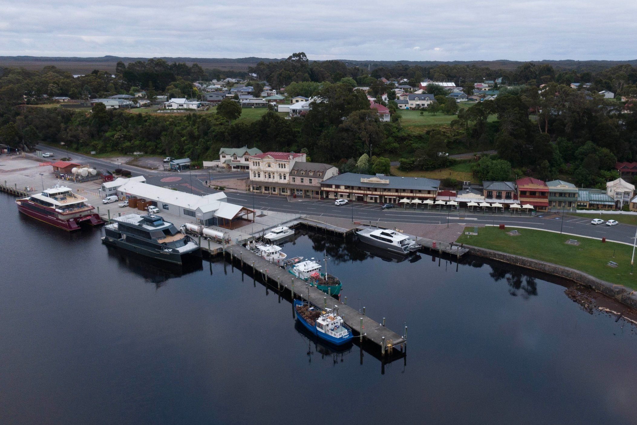 Endangered sea creature, only found in Tasmania, is rapidly disappearing | 7.30