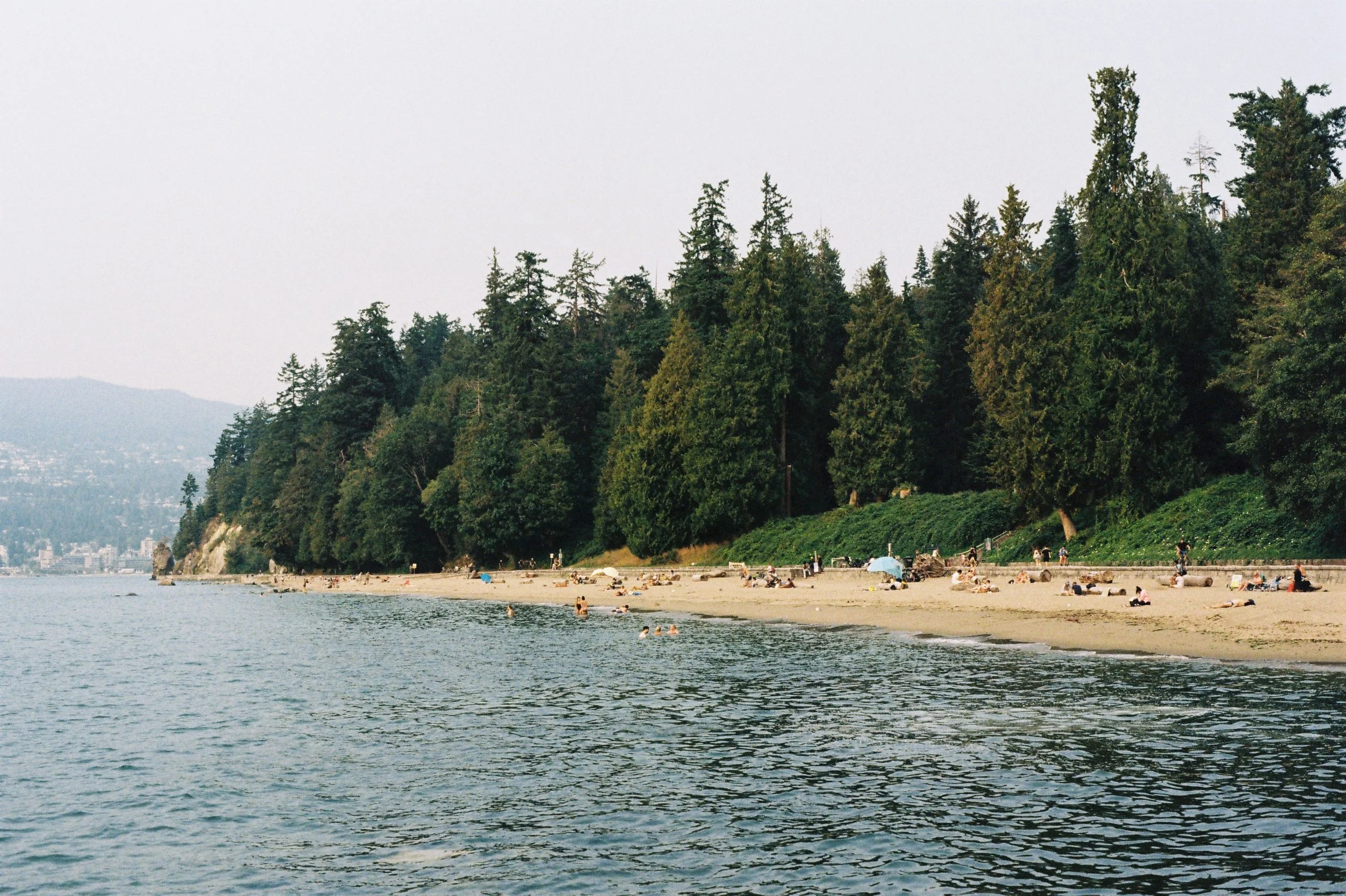 Gold 200 50000071.JPG