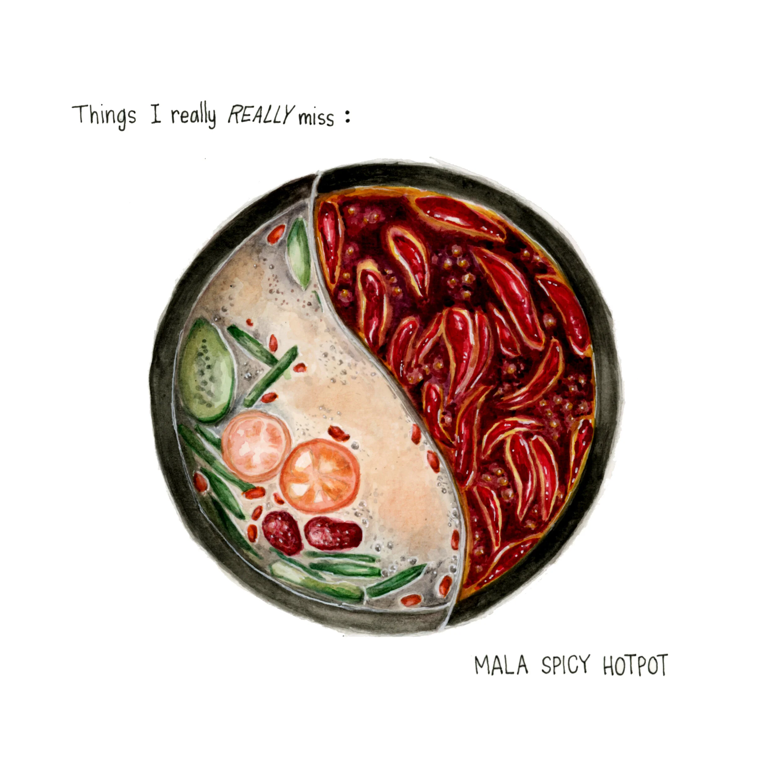  Sichuan (Szechuan) Mala Spicy Hot Pot 