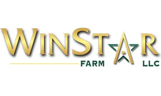 Winstar Logo.jpg