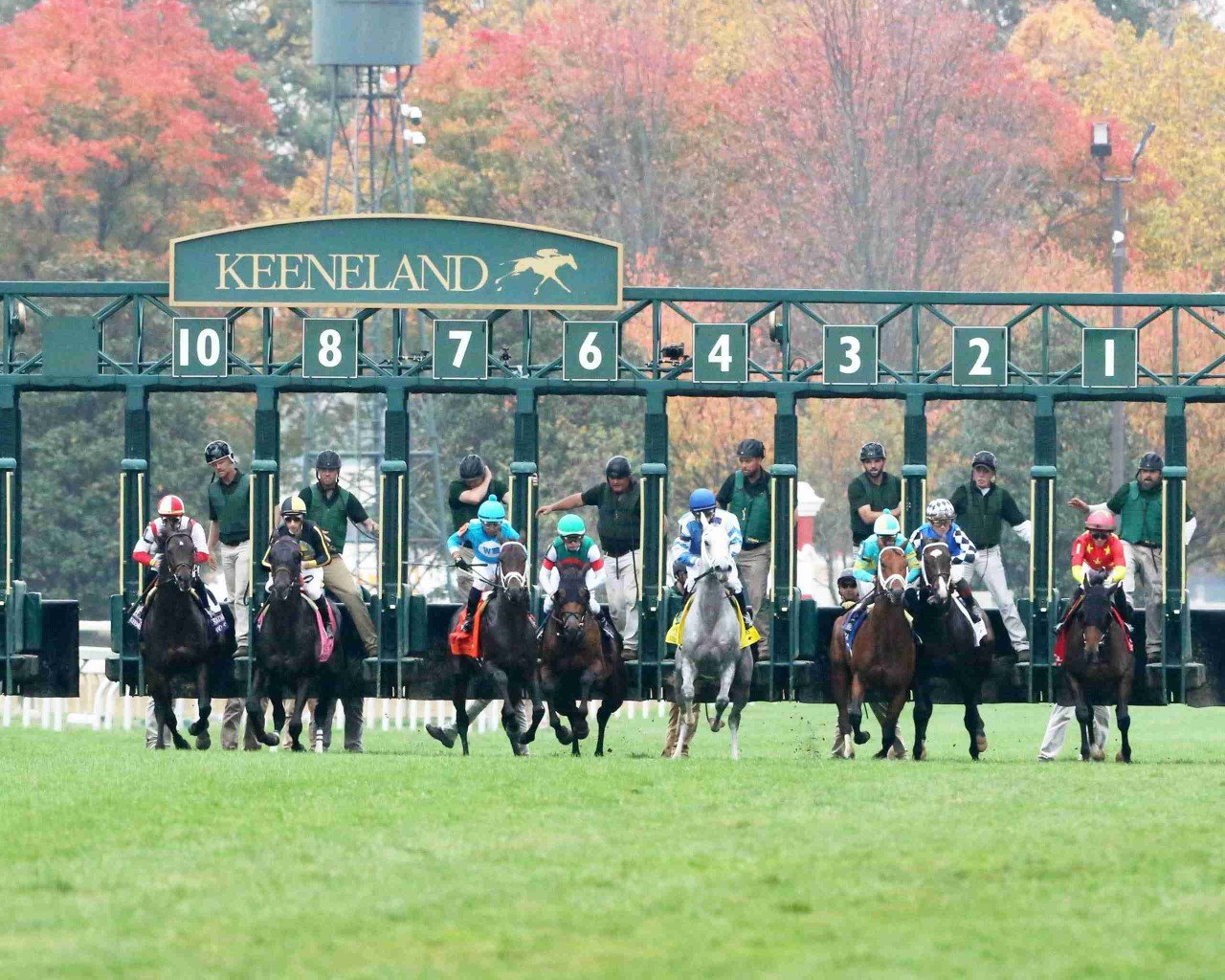 Horse Tours - Keeneland Grandstand Seats.jpg