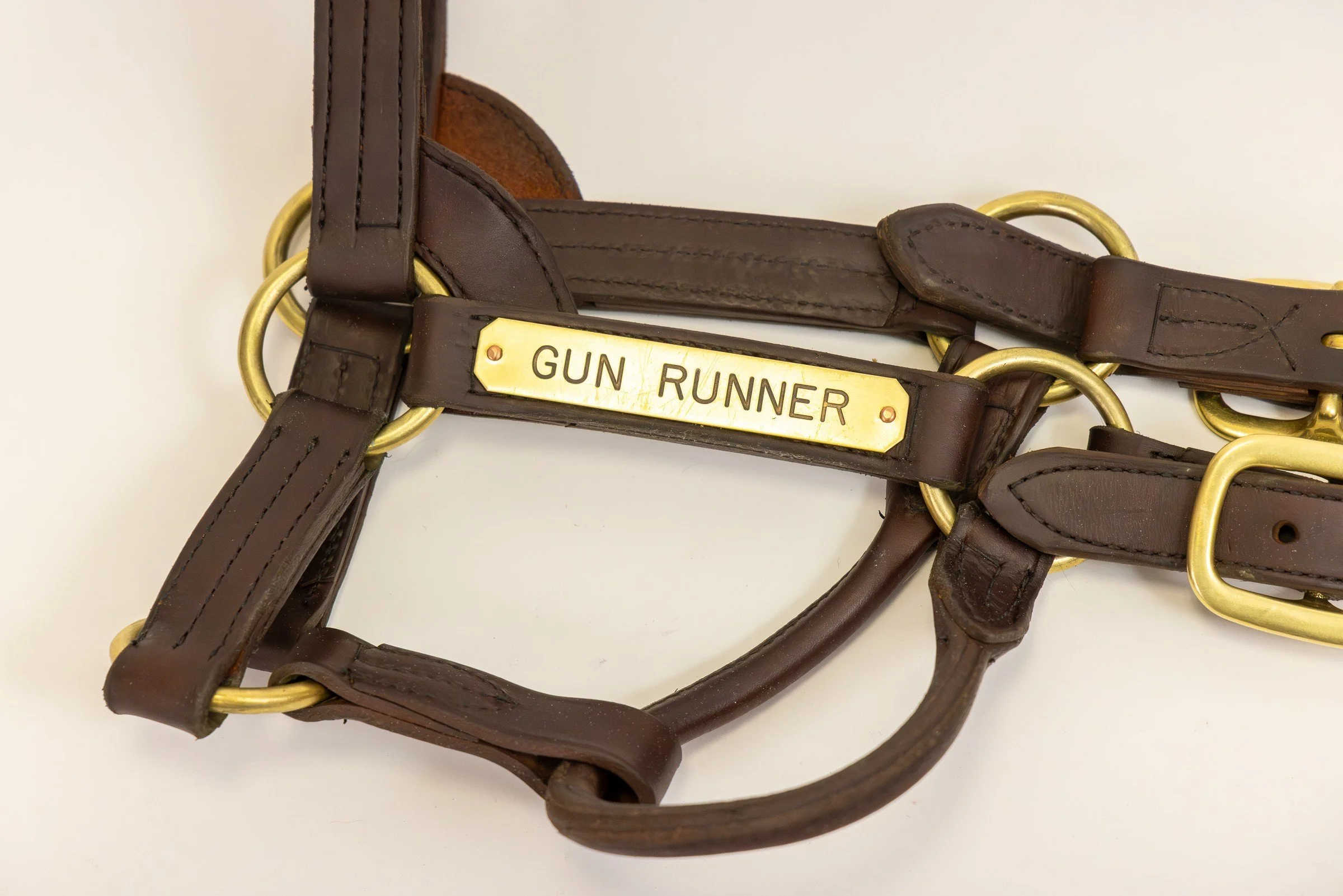 Horses - Gun Runner.jpg