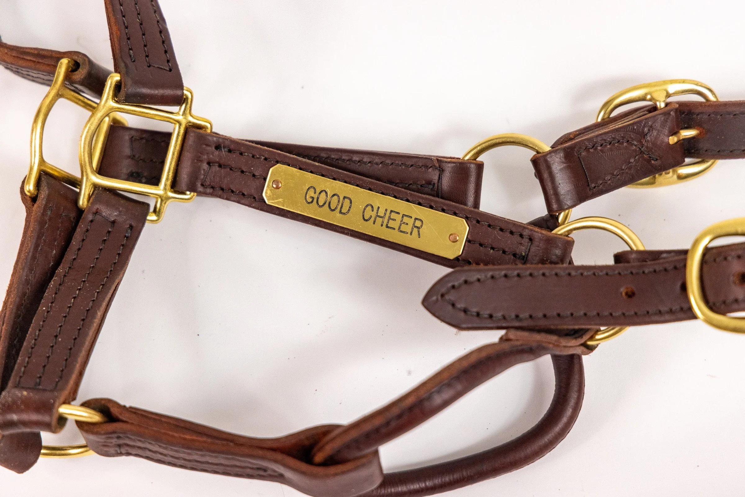 Horses - Good Cheer.jpg