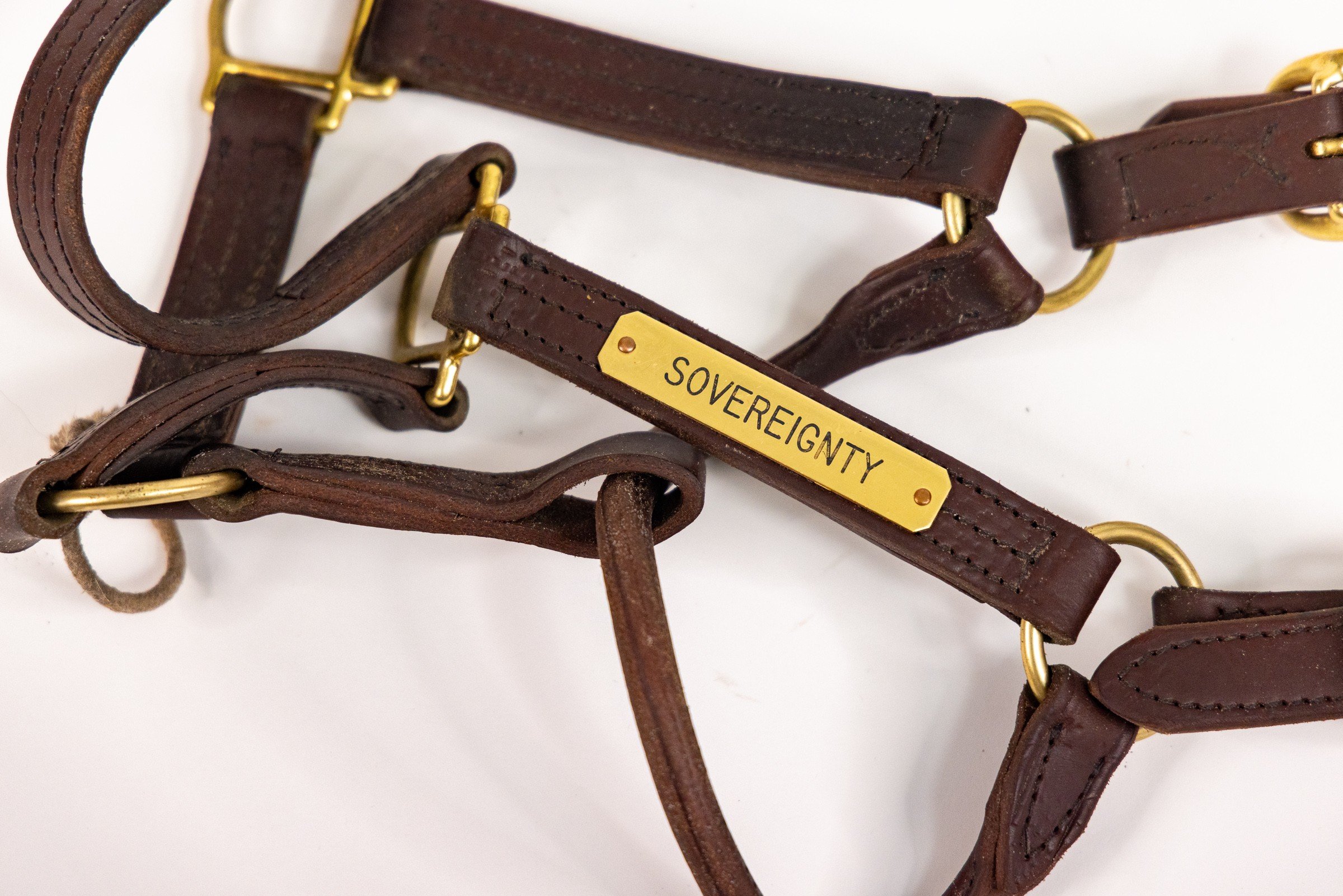 Horses - Sovereignty.jpg