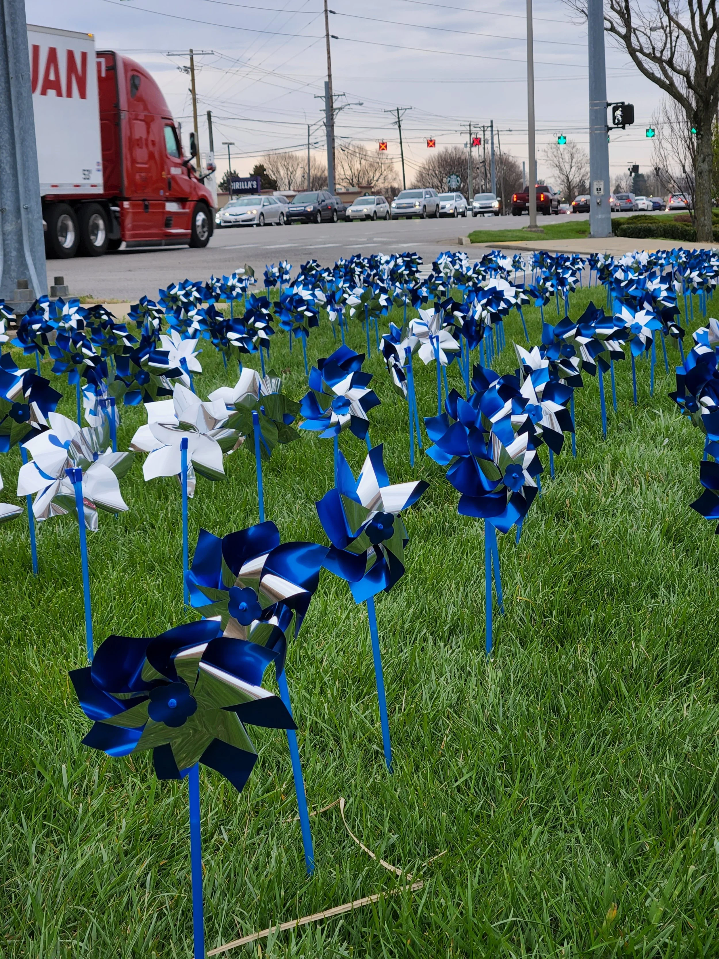 Pinwheels planted along Nicholasville Road in Lexington.