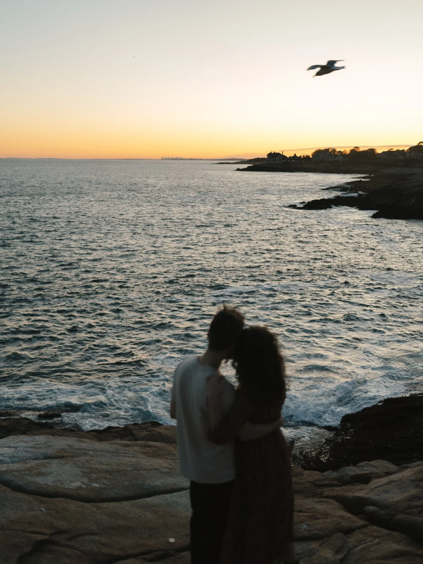 The Seagull&rsquo;s a paid actor