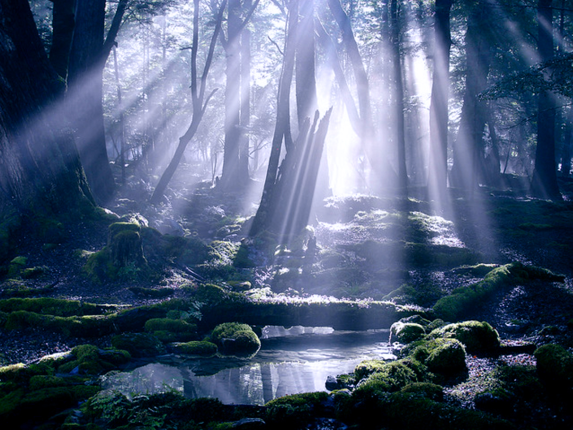god rays 3.jpg