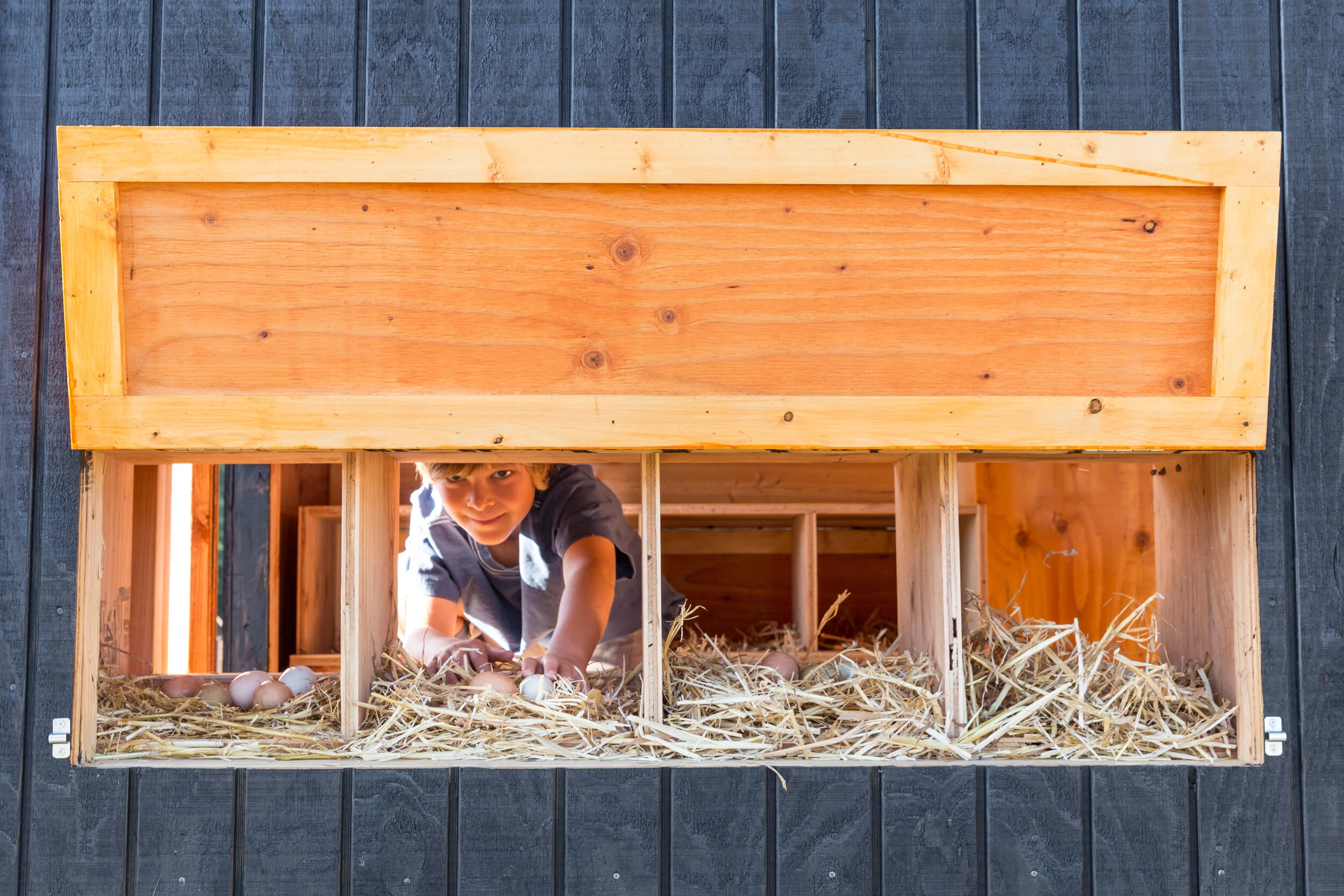 Sauvie Island Coop.6.jpg