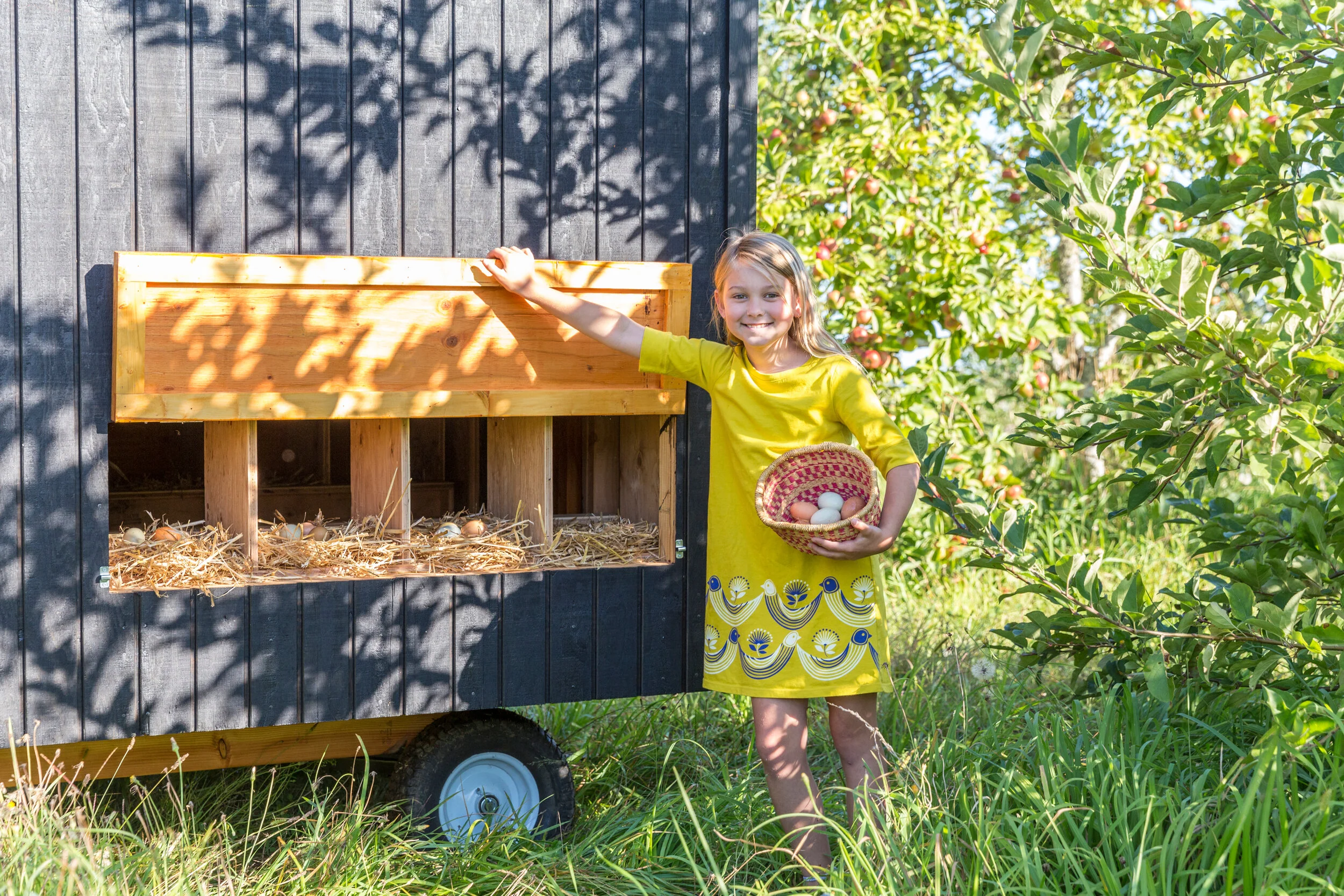 Sauvie Island Coop.7.jpg
