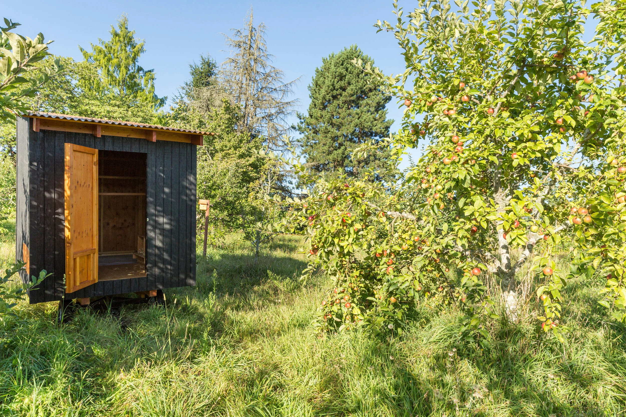 Sauvie Island Coop.9.jpg