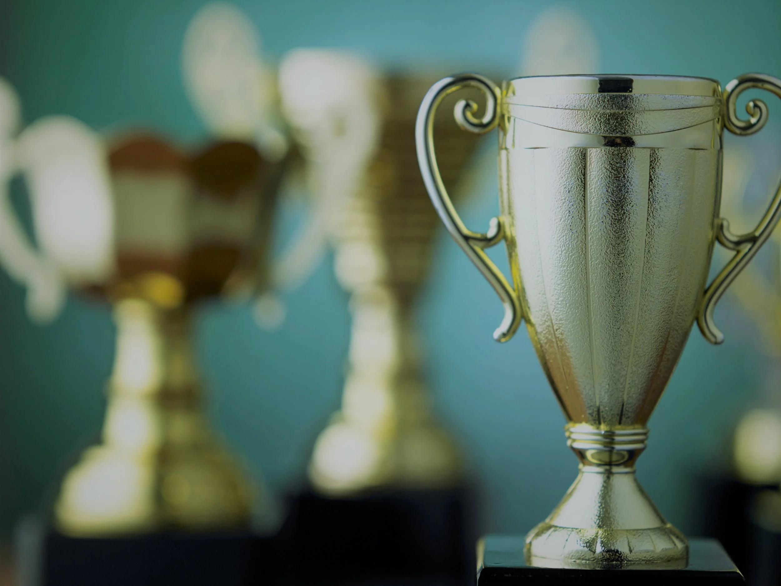 EXPERIENCE A tradition of award-winning recognition is simply a result behind the passion Revmarka offers its clients. Now you have an eager brand evangelist.