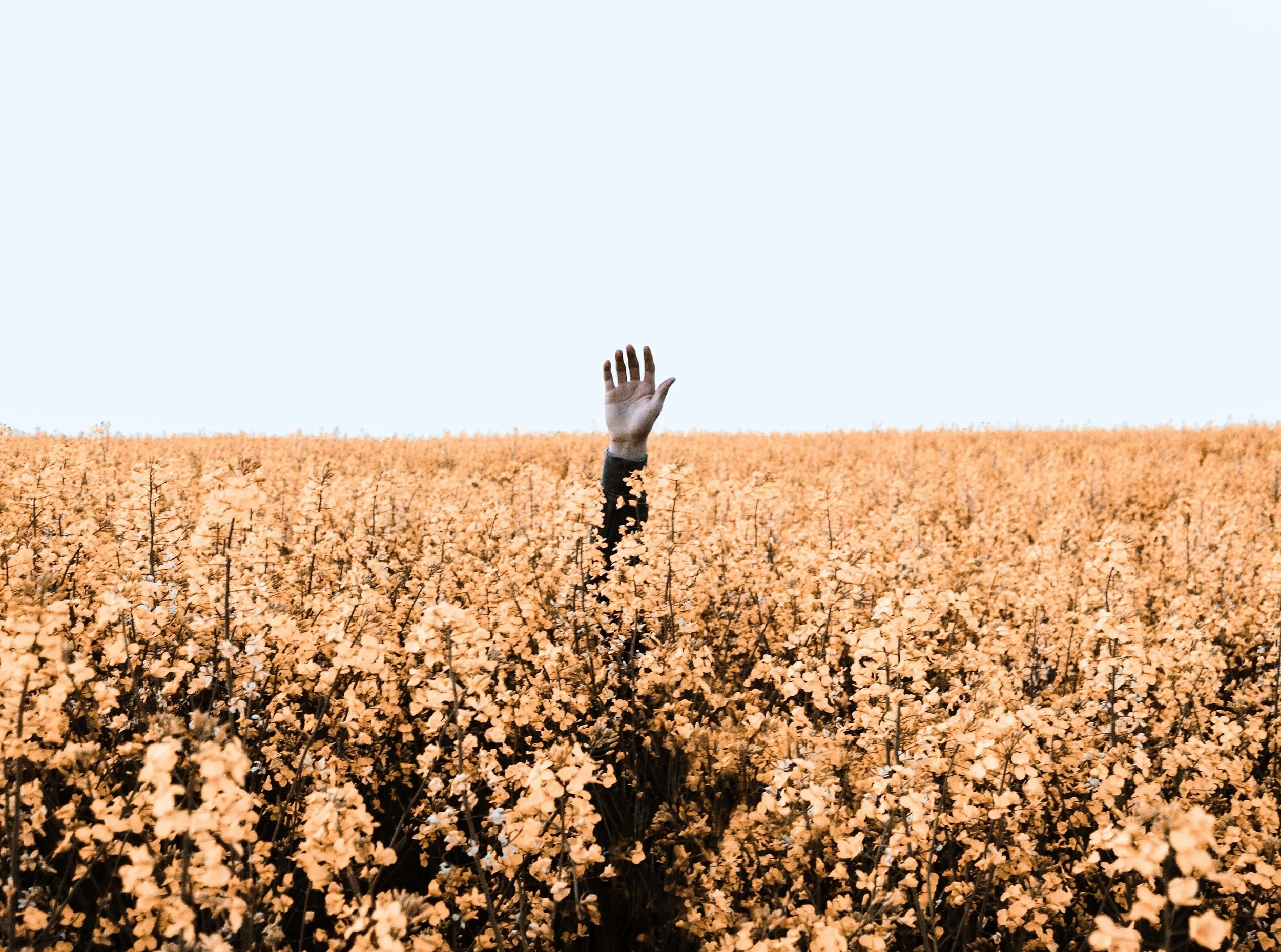 Hand Raised.jpg