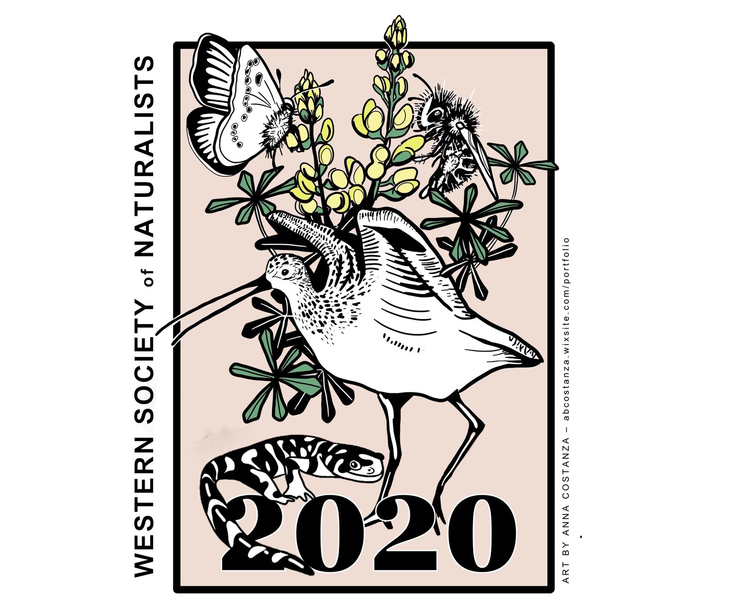 wsn_sticker_color.jpg