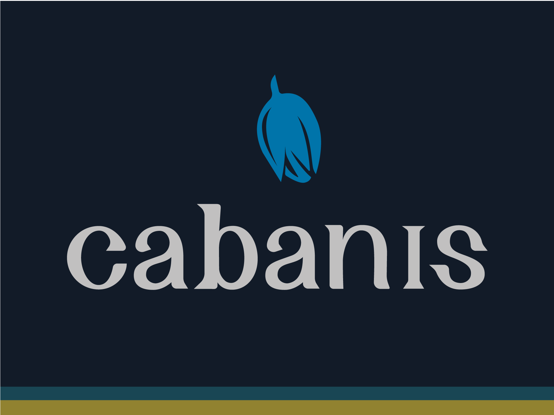 Cabanis concept design