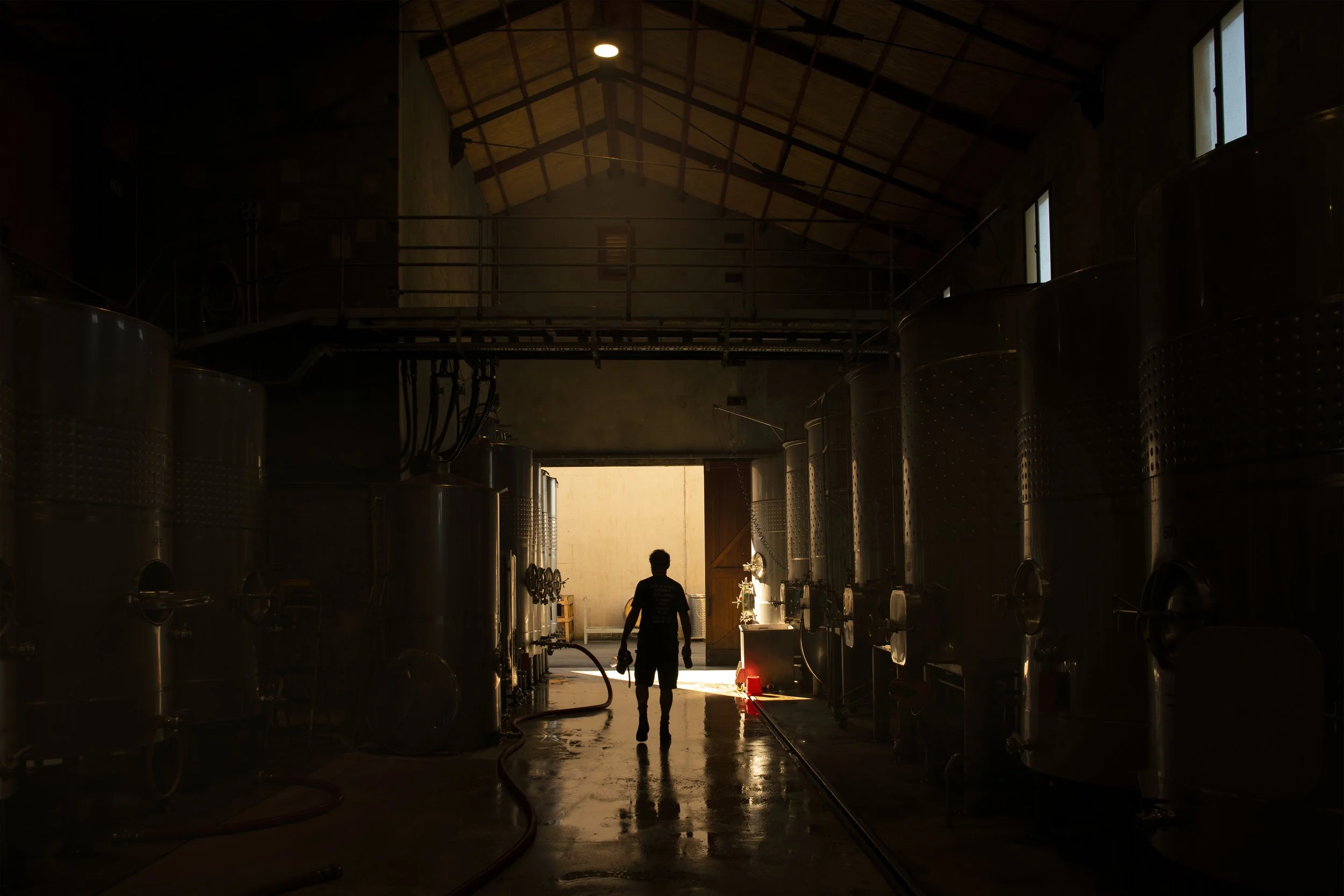 Innovative Collaborative Marlborough