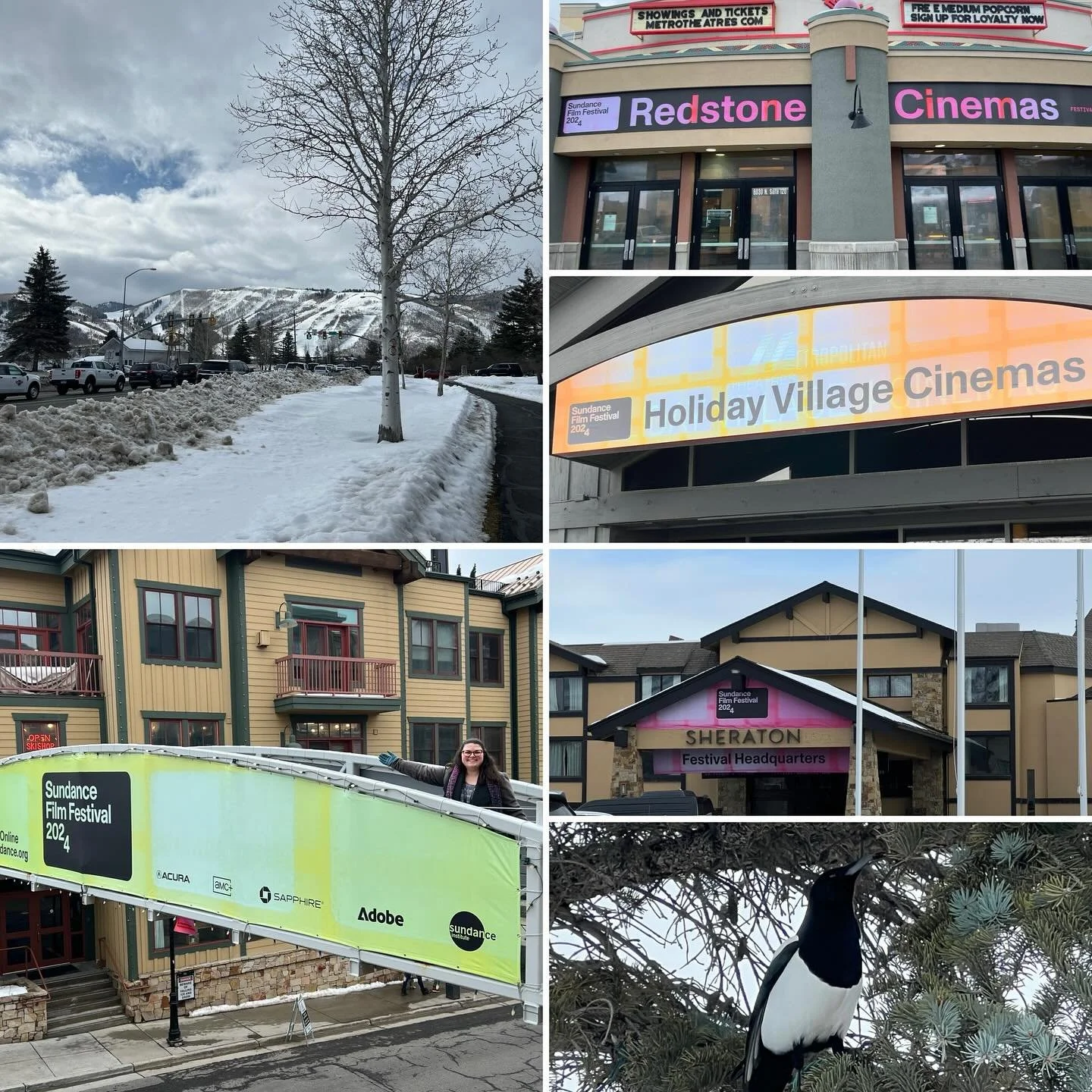 Thank you for having me, Sundance! What a trip ✨
#sundance @sundanceorg