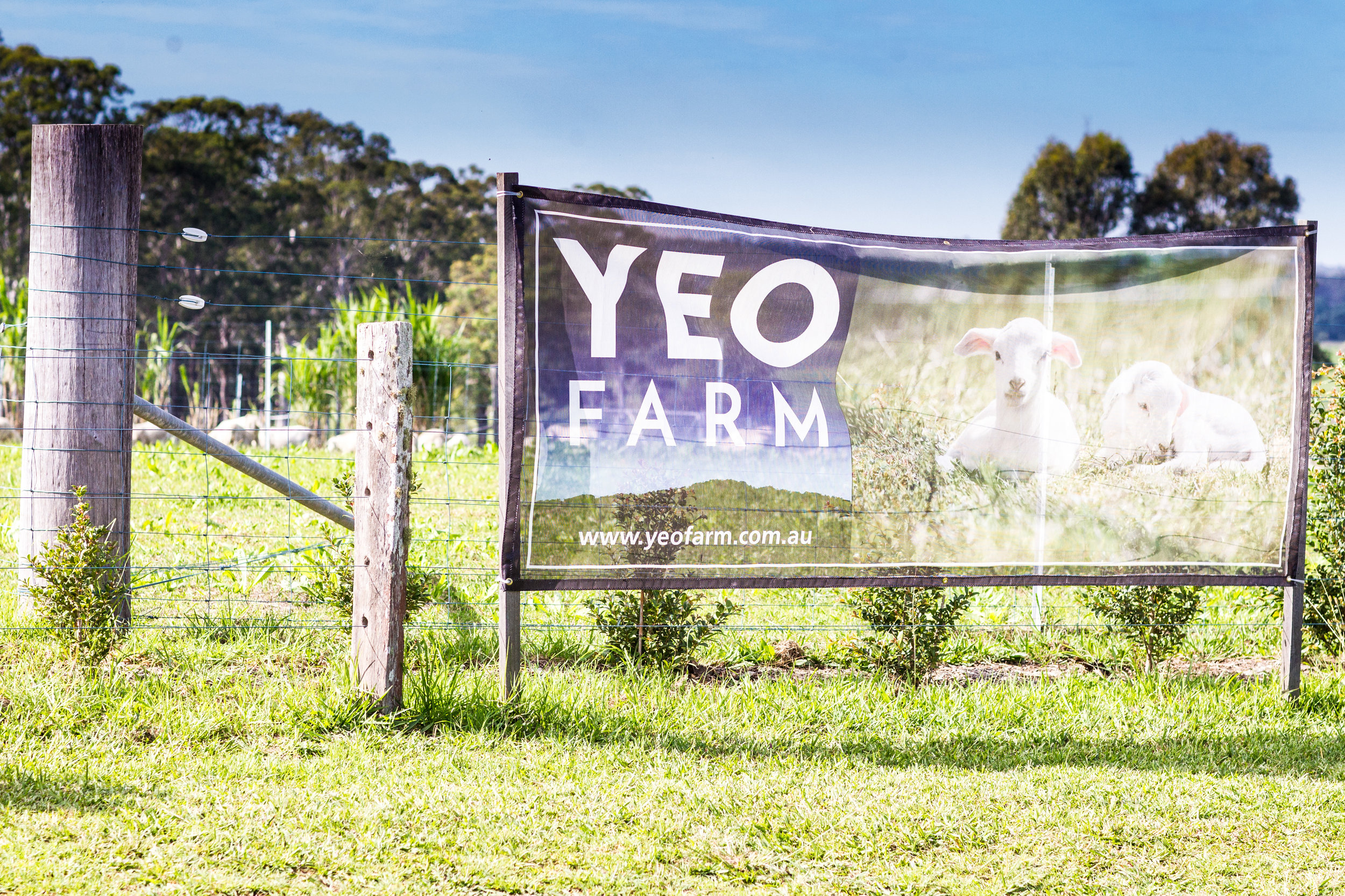 Yeo Farm-7469.jpg