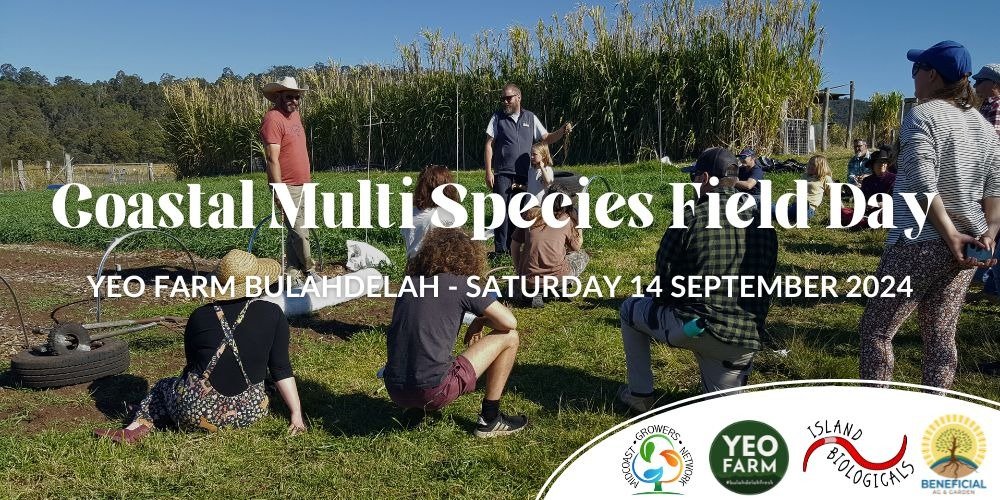 Coastal Multi Species Field Day at Yeo Farm