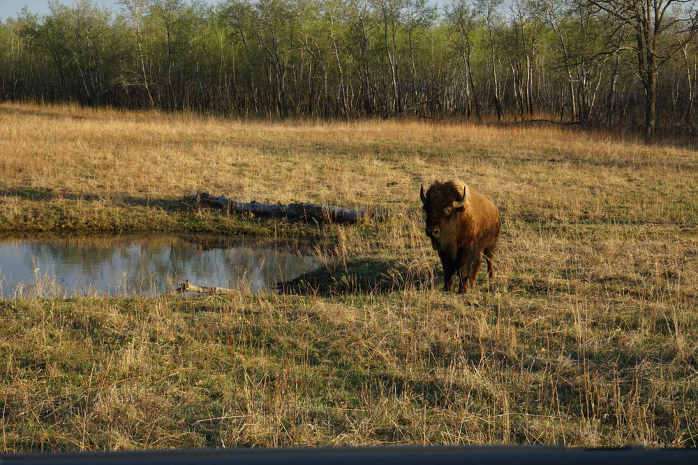 DSC05664.jpg