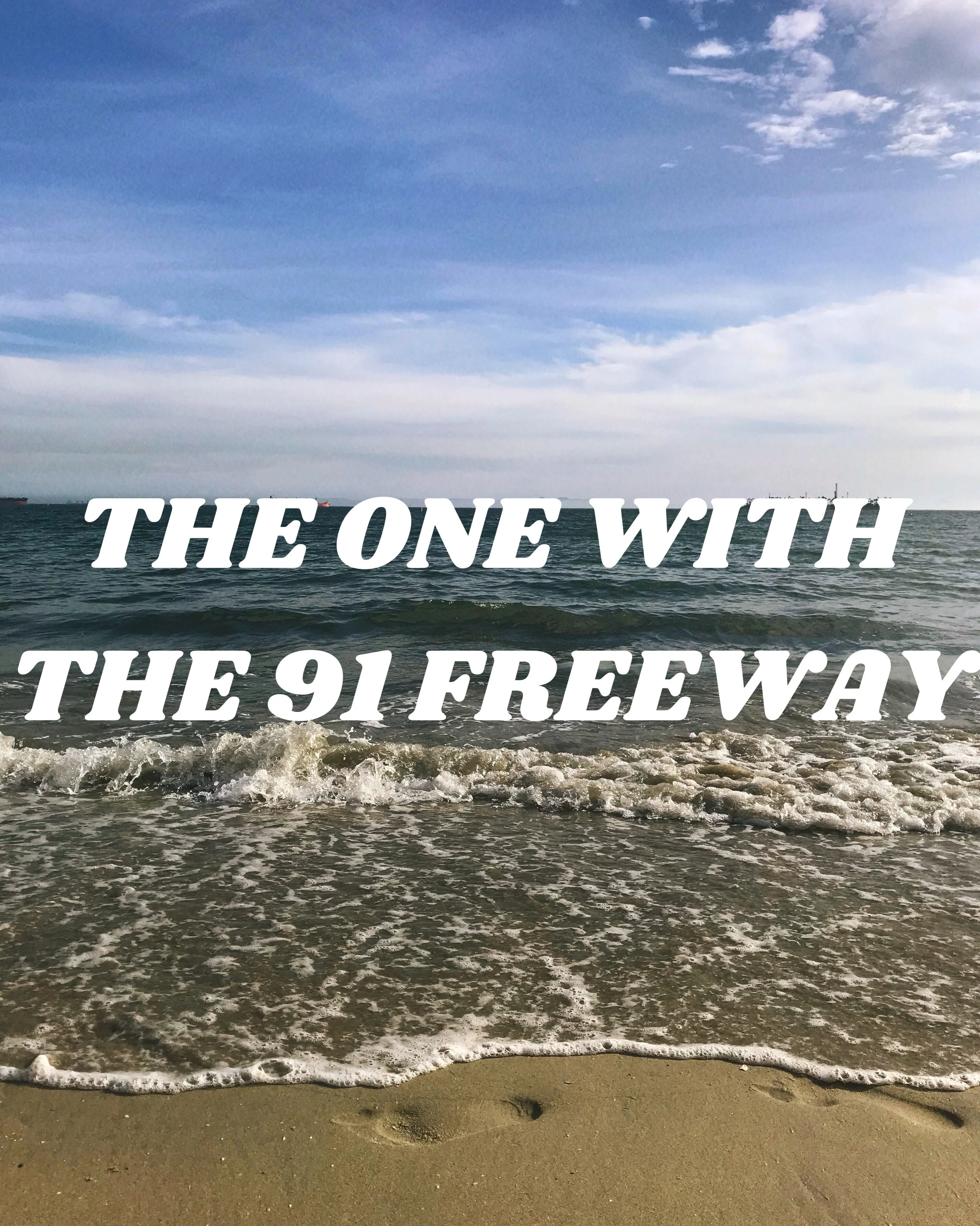91 Freeway Shooting Today - vofgost
